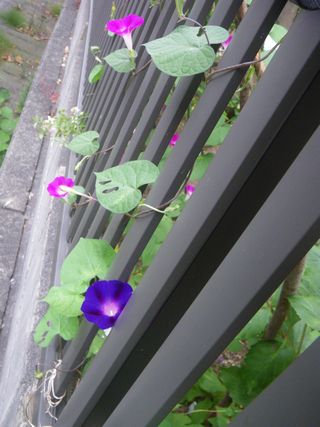 c0024861_13223047.jpg