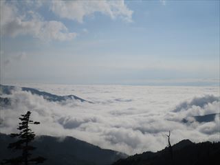 d0045362_10182566.jpg