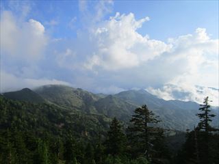 d0045362_10183046.jpg