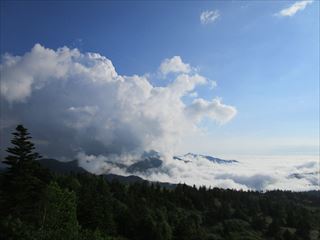 d0045362_10185057.jpg