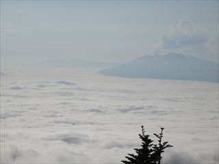 d0045362_10185977.jpg