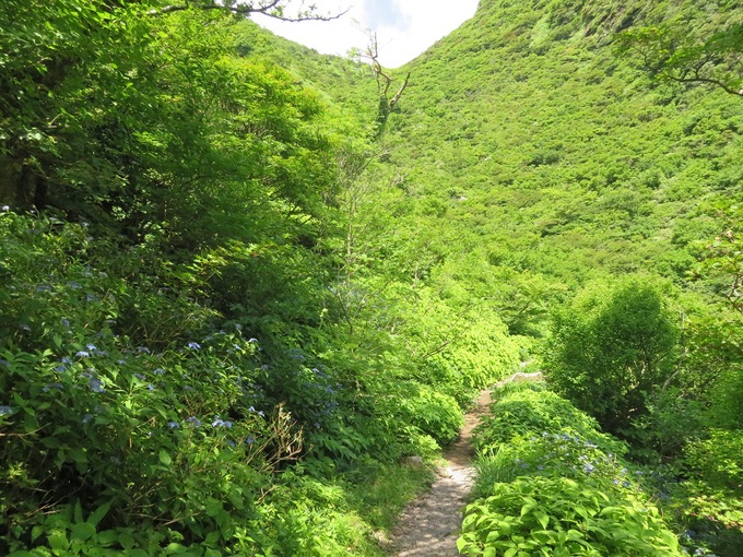 c0042869_6163283.jpg