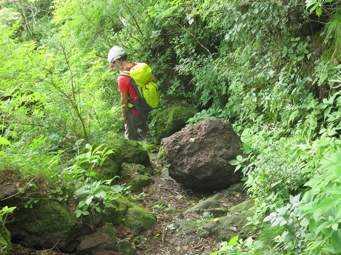 c0042869_623631.jpg