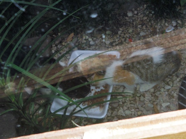 e0031572_08033274.jpg