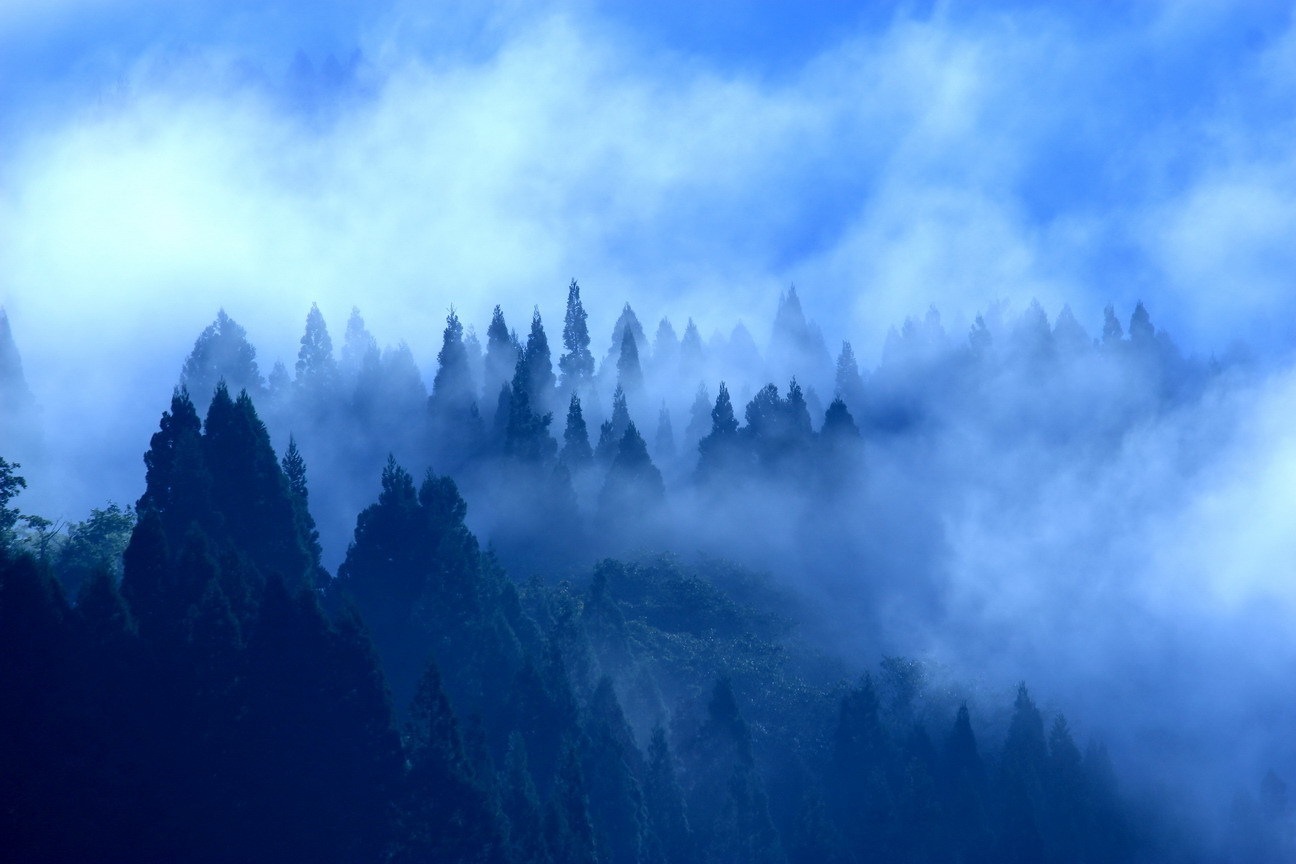 b0093678_17012457.jpg