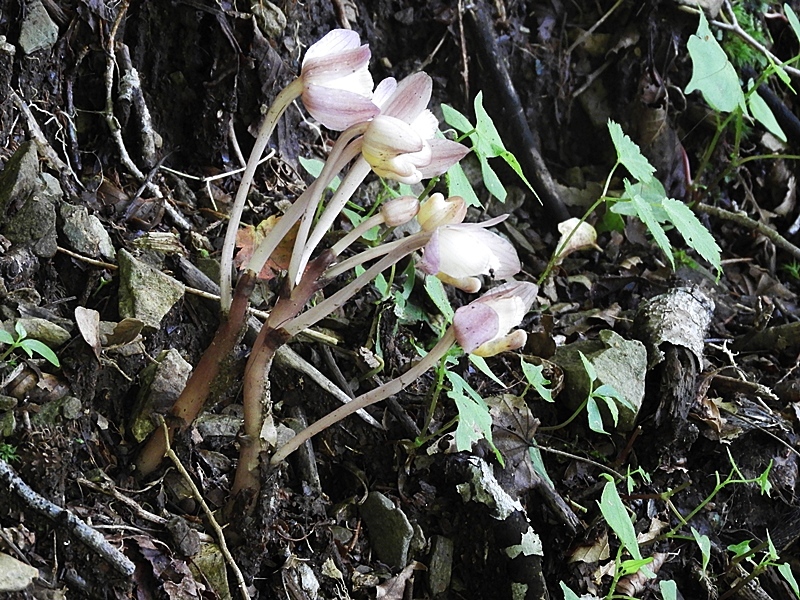f0357487_23143032.jpg