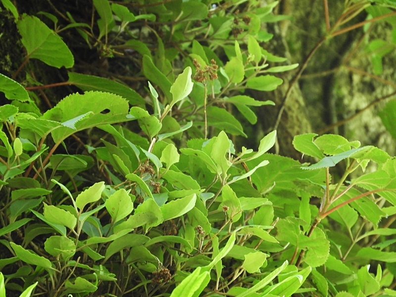 f0357487_23155534.jpg
