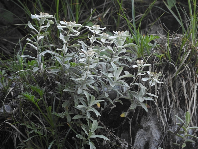 f0357487_23170642.jpg