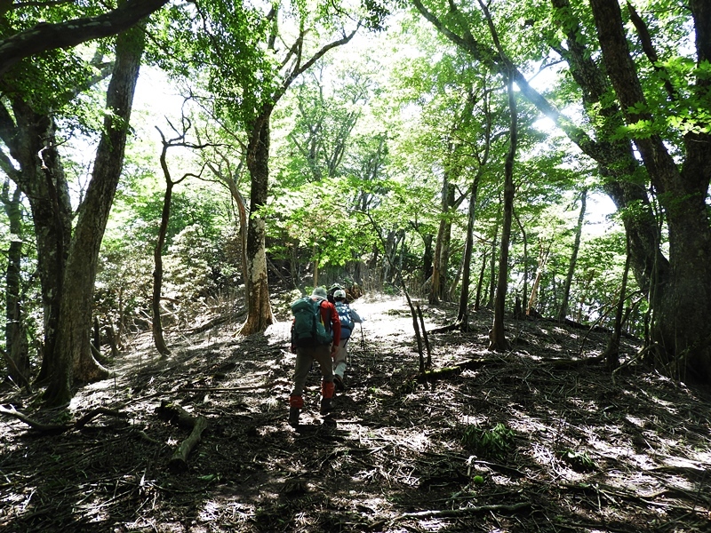 f0357487_23184415.jpg