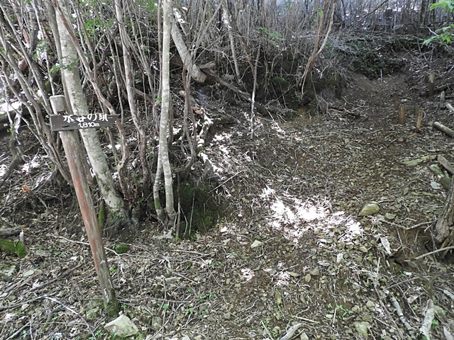 f0357487_23193295.jpg