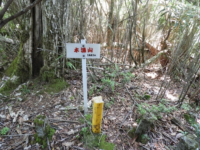 f0357487_23194848.jpg