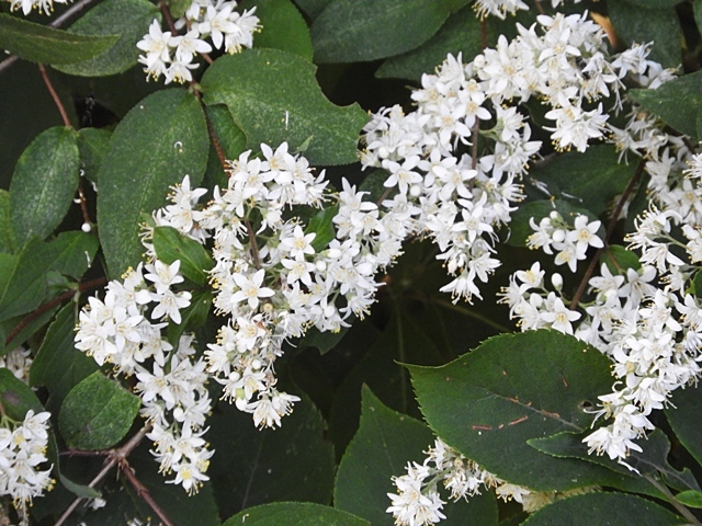 f0357487_23201146.jpg