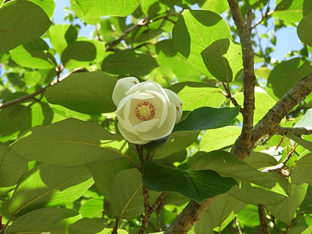f0357487_23212279.jpg