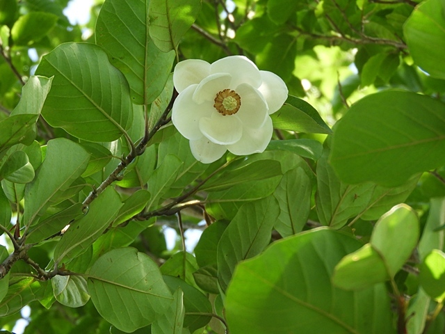 f0357487_23214450.jpg