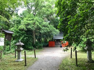 a0263388_17504189.jpg