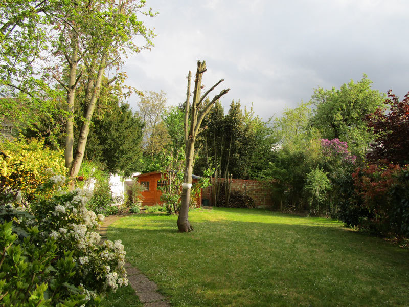 f0176688_11202010.jpg