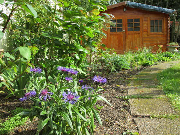 f0176688_11203570.jpg
