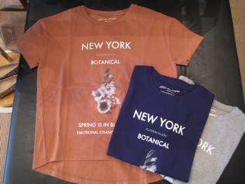 e0193499_20101332.jpg