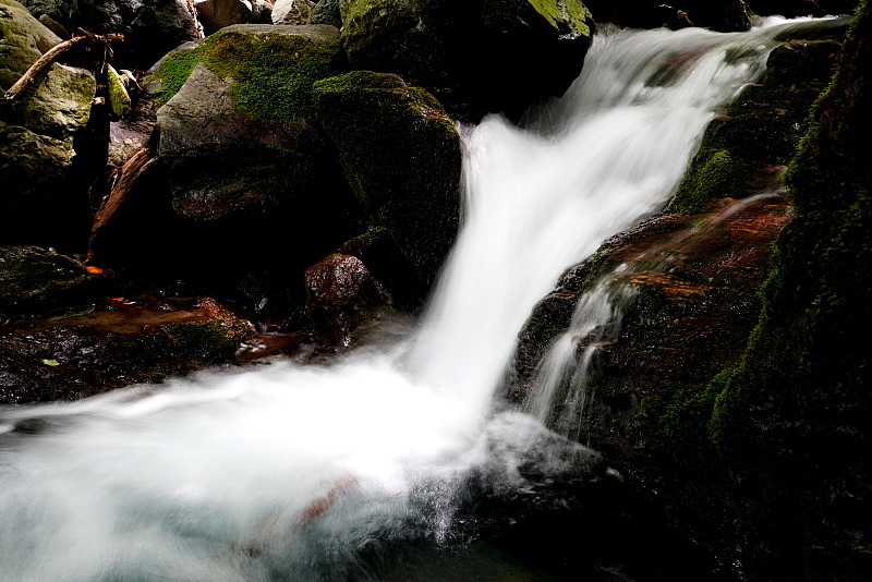 c0339900_20061020.jpg