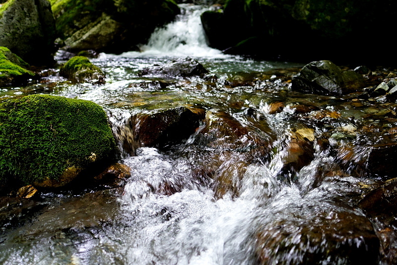 c0339900_20103683.jpg