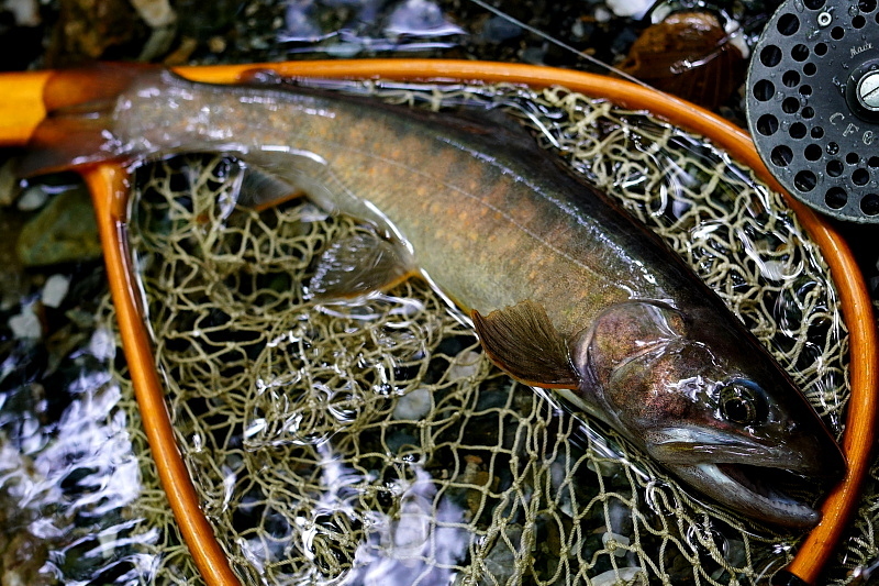 c0339900_20233916.jpg