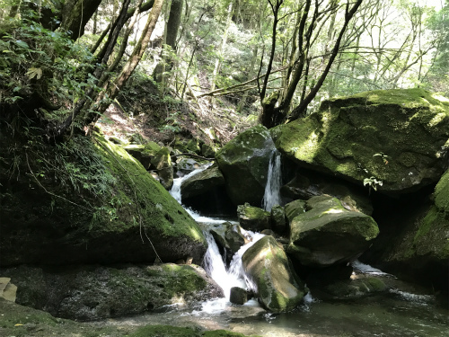 e0359808_00574593.jpg