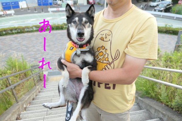 f0369014_14560441.jpg