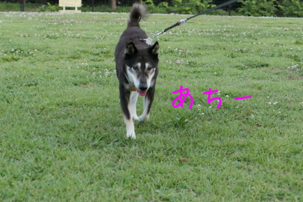 f0369014_15052752.jpg