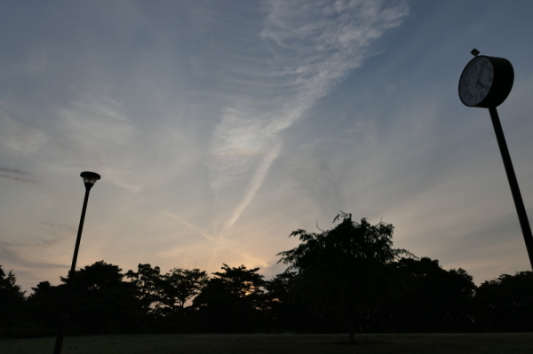 f0369014_15070085.jpg