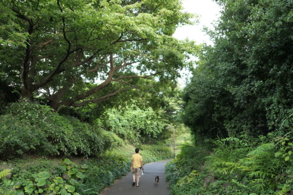 f0369014_15081669.jpg