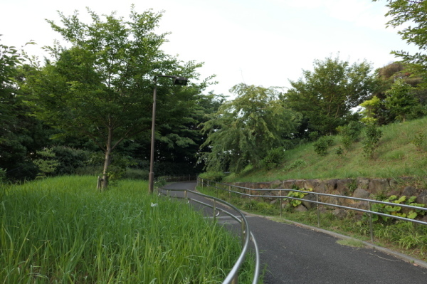 f0369014_15103382.jpg