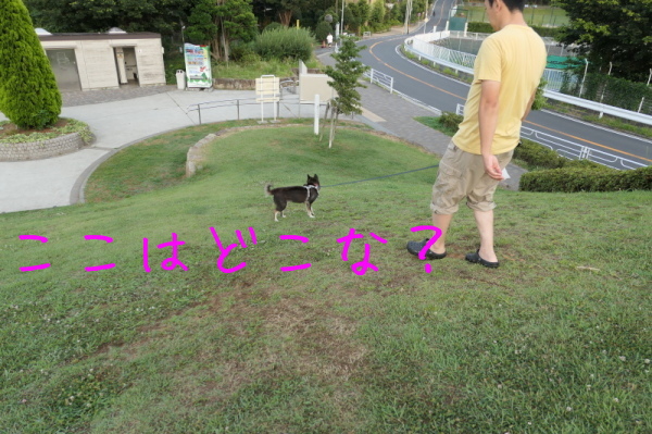 f0369014_15181829.jpg