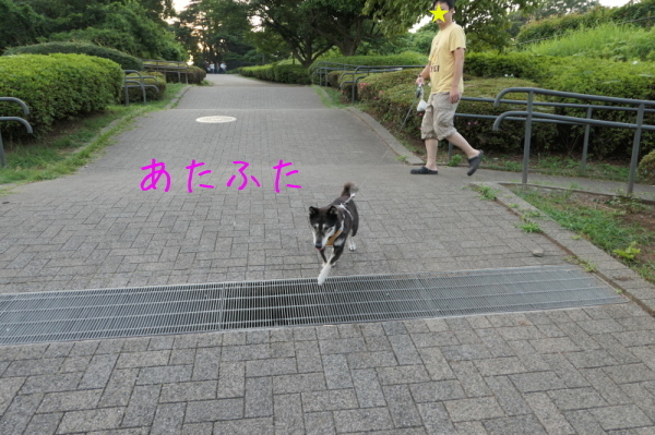f0369014_16091028.jpg