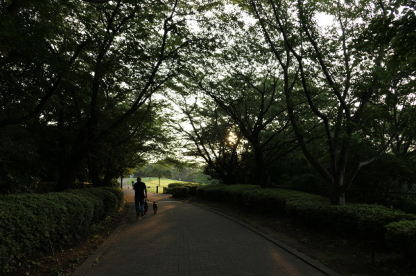 f0369014_16522982.jpg