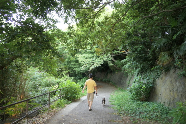 f0369014_17002765.jpg