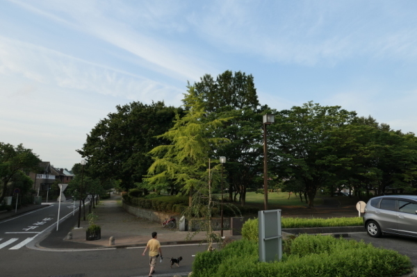 f0369014_17033796.jpg