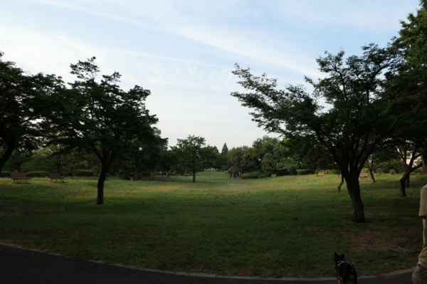 f0369014_17124346.jpg