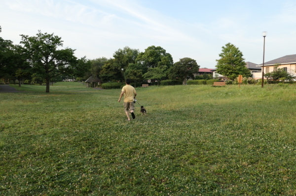 f0369014_17150939.jpg