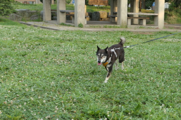 f0369014_17170977.jpg