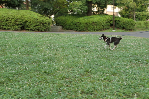 f0369014_17183755.jpg