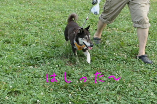 f0369014_17224352.jpg