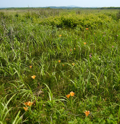 c0082715_12371052.jpg