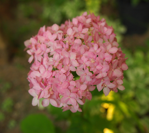 f0356717_22011243.jpg