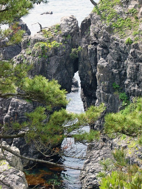 d0295818_12571783.jpg