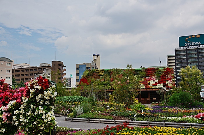 b0068423_17311721.jpg