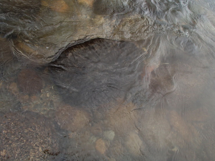 d0172227_13482545.jpg