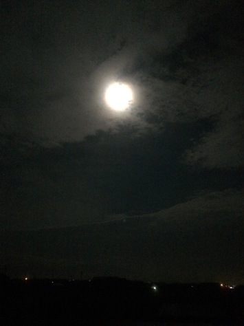 c0077330_17001069.jpg
