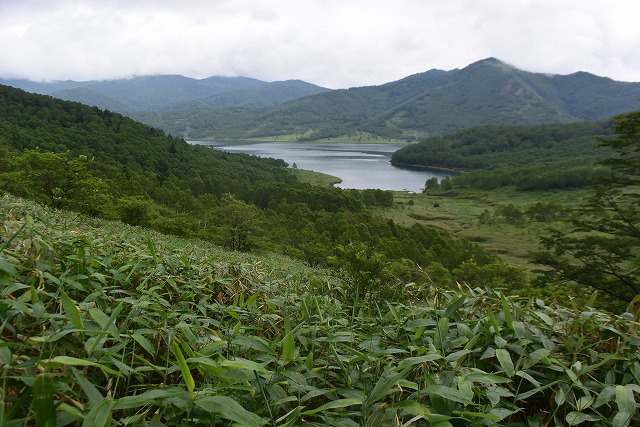 b0341133_10211679.jpg