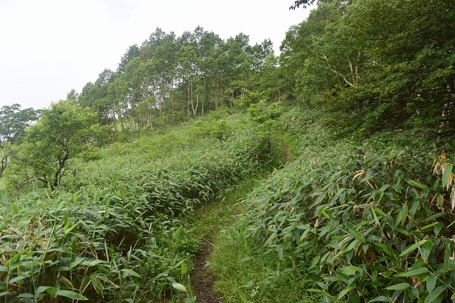b0341133_10212356.jpg