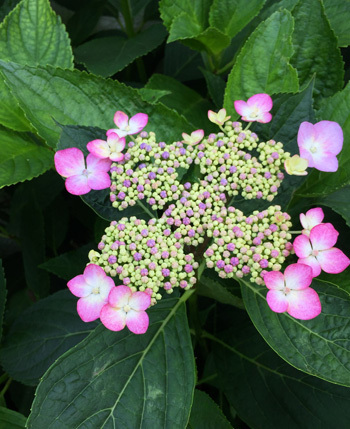 f0002533_04153961.jpg